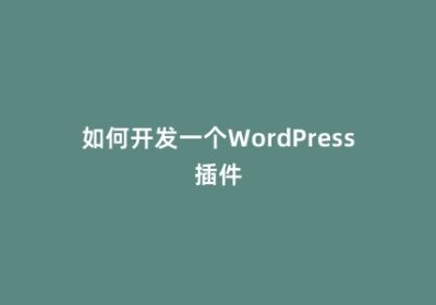 如何开发一个WordPress插件