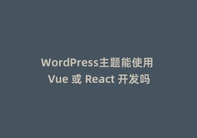 WordPress主题能使用 Vue 或 React 开发吗？